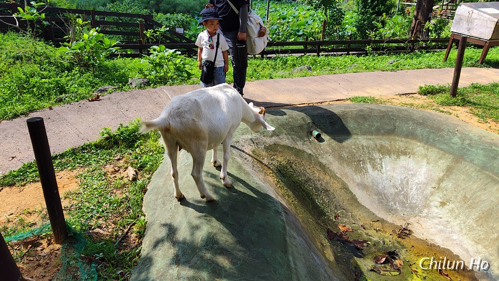 県道26号線